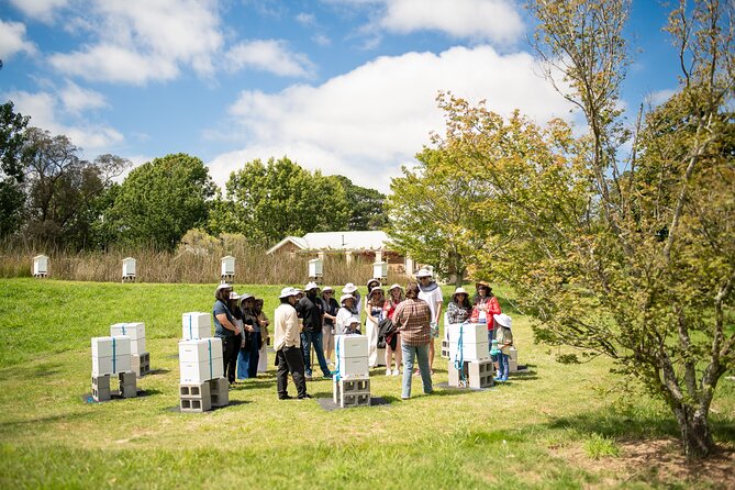 Honey Farm Tour. Morning Tea. Guided Tasting - What the one-hour format means for you