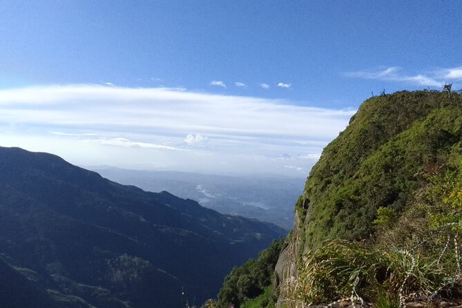Horton Plains-World's End Tour and Tea Factory Tour From Nuwaraeliya - Walking the 9.5-kilometer Horton Plains route