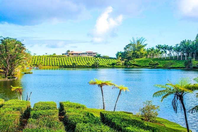 Ile aux Aigrettes - Tea Route - Gris Gris Private Guided Tour (Min. 2 persons) - What private transport changes