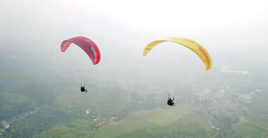 Jakarta: Paragliding on Top Mountain & Tea Plantation - The Bogor stop and the road into Puncak