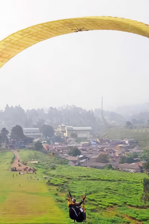 Jakarta: Paragliding on Top Mountain & Tea Plantation - Gunung Mas and the tea plantation views