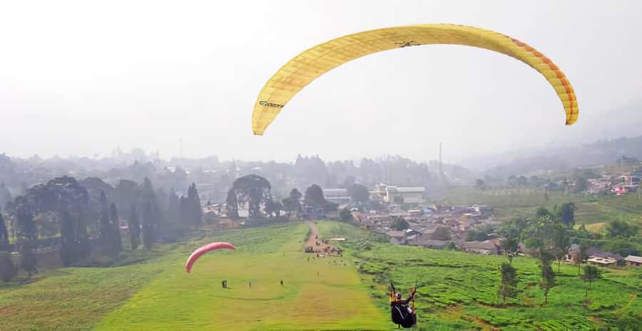 Jakarta: Paragliding on Top Mountain & Tea Plantation - What the paragliding flight is really like