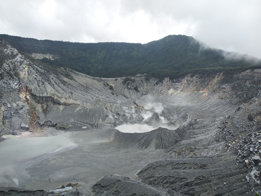 Jakarta :Volcano, HotSpring, Tea Factory, RiceField, &Coffee - Rice fields and everyday work