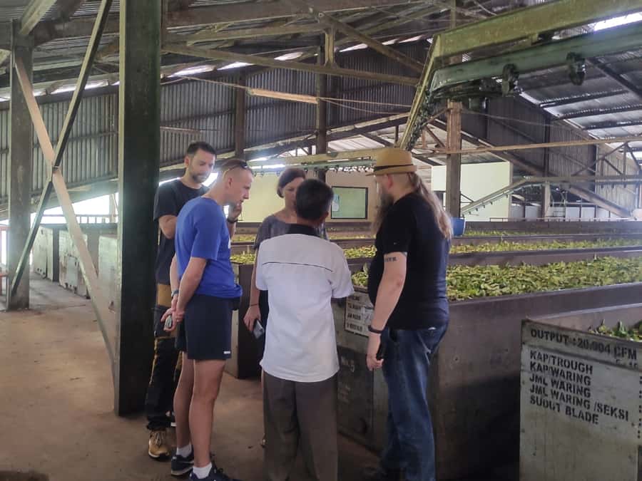 Jakarta :Volcano, HotSpring, Tea Factory, RiceField, &Coffee - Lunch in Lembang