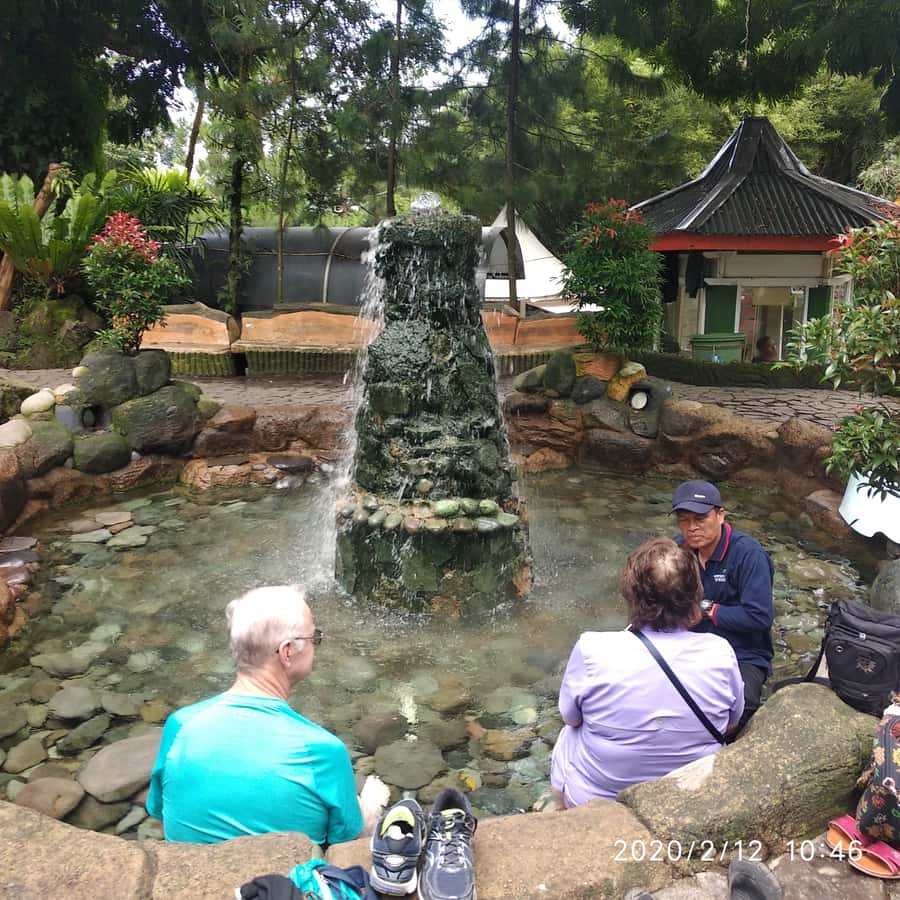 Jakarta :Volcano, HotSpring, Tea Factory, RiceField, &Coffee - Luwak coffee at Cikole