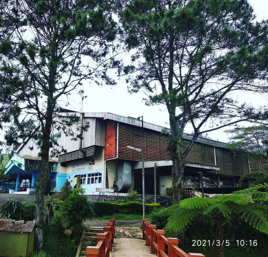 Jakarta :Volcano, HotSpring, Tea Factory, RiceField, &Coffee - The long ride from Jakarta into West Java