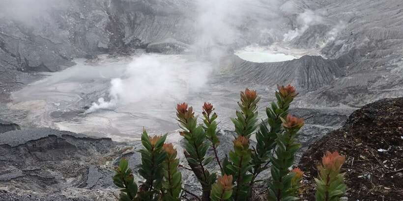 Jakarta: Volcano, Tea/Rice Fields, Hot Spring, Local Food - A very full day from Jakarta