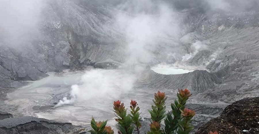 Jakarta: Volcano, Tea/Rice Fields, Hot Spring, Local Food - Fruit tasting is small but memorable