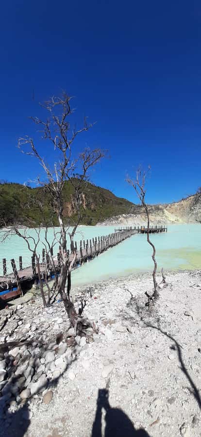 Jakarta: Waterfalls, Volcano, White Crater, Tea, Hot Spring - Tea plantations and the best photo stops