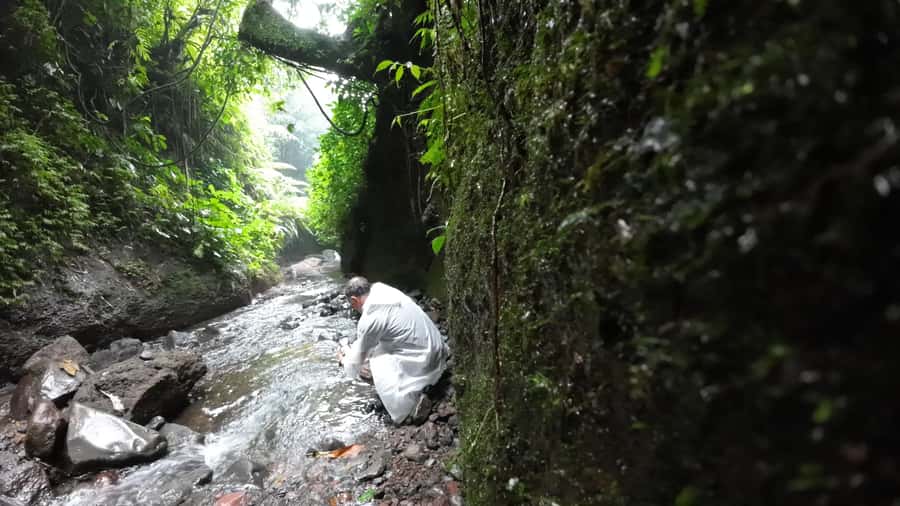 Jakarta: Waterfalls, Volcano, White Crater, Tea, Hot Spring - The driver-guide makes a real difference