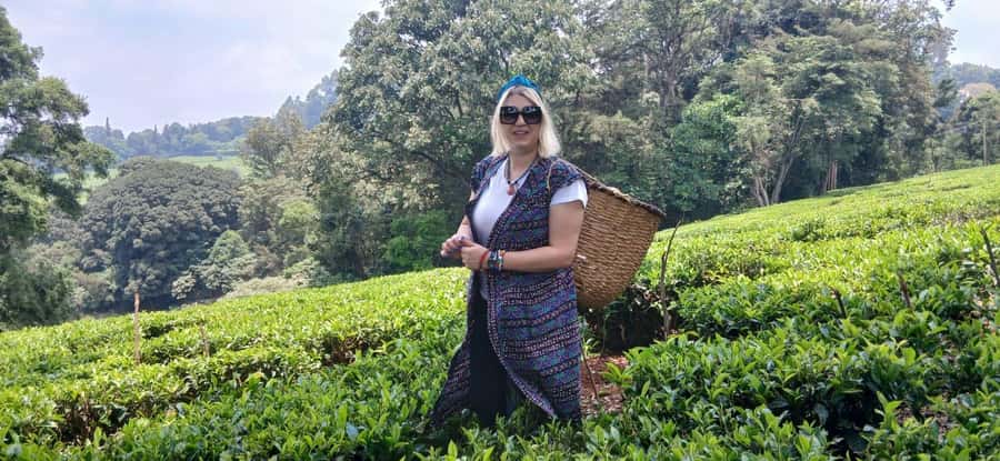 Kaimbethu tea farm tour and lunch package - The opening tea talk and farm welcome