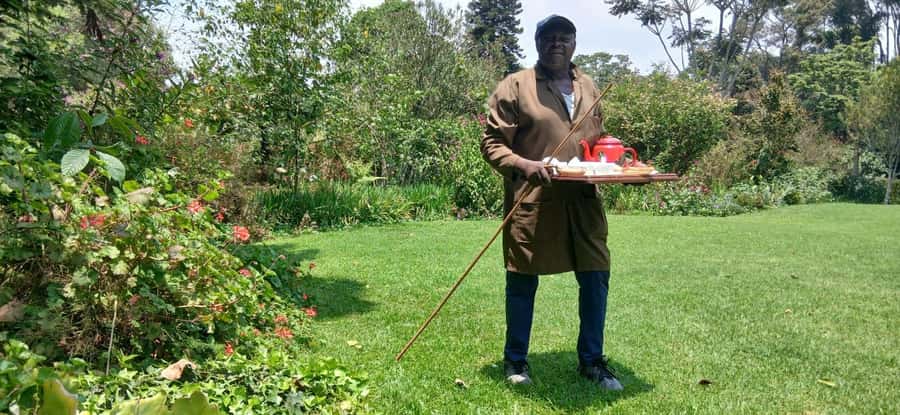 Kaimbethu tea farm tour and lunch package - Walking through the tea fields