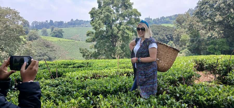 Kaimbethu tea farm tour and lunch package - Tea tasting and the farm atmosphere