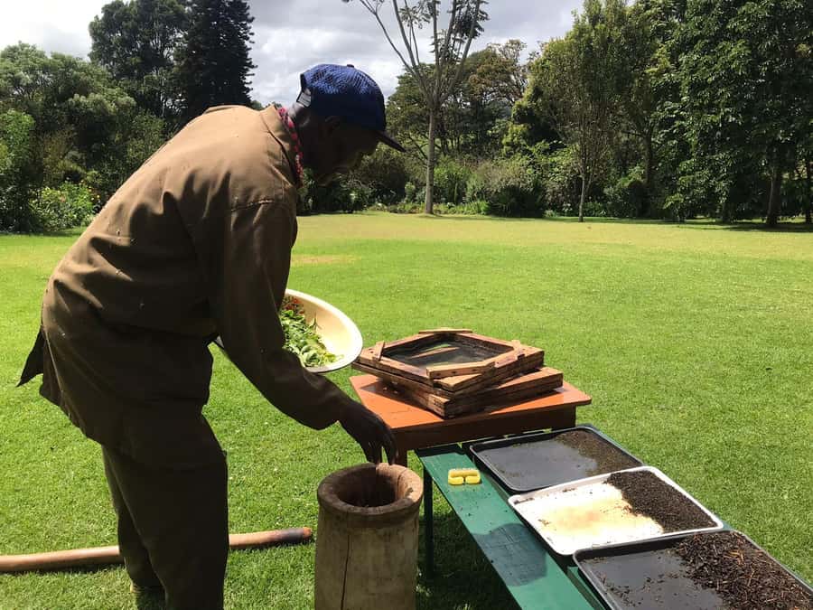 Kaimbethu tea farm tour and lunch package - The drive from Nairobi to Kiambethu