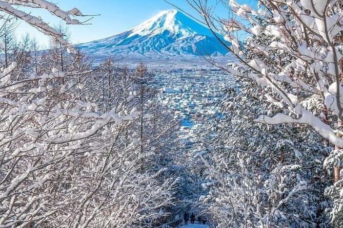 Kamkura: Private Zazen, Matcha at Bamboo Temple & Mindful Cuisine - Should you book this Zen day in Kamakura?