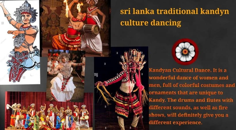 Kandy: City Tour with Temple of the Tooth & Tea Garden - The $3.12 price and what to check
