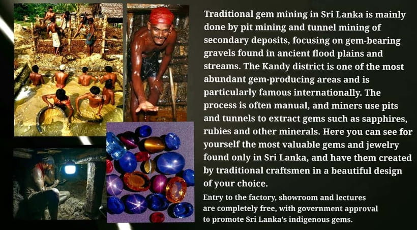 Kandy: City Tour with Temple of the Tooth & Tea Garden - My call: book it if you want a personal Kandy introduction