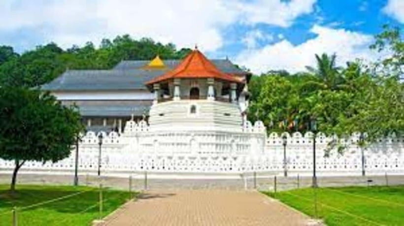 Kandy & Pinnawala & Tea Factory Full Day Tour From Negombo - A long road from Negombo to Kandy