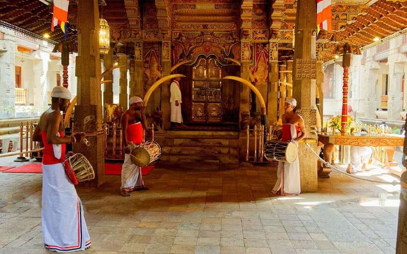 Kandy & Pinnawala & Tea Factory Full Day Tour From Negombo - What the $49 price really covers