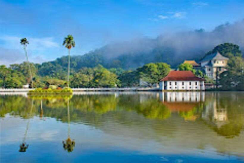 Kandy & Pinnawala & Tea Factory Full Day Tour From Negombo - Kandy Lake, the culture show, and city views