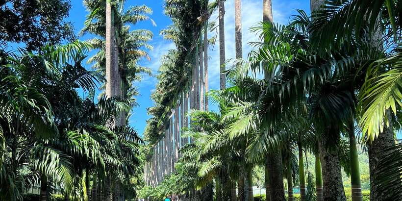 Kandy privet day tour with pinnawala and Tea plantation - Temple of the Sacred Tooth Relic: the central experience