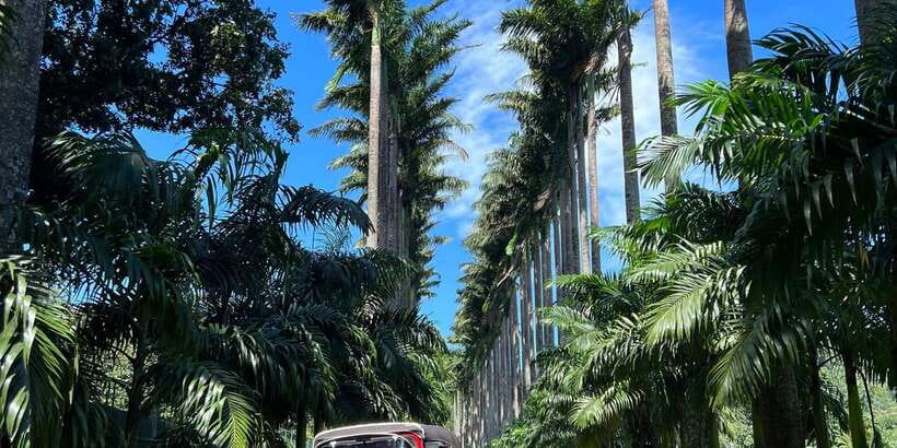 Kandy privet day tour with pinnawala and Tea plantation - Bahirawakanda Temple and the city’s hill views