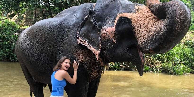 Kandy privet day tour with pinnawala and Tea plantation - Pinnawala Elephant Orphanage: a brief look at elephant care