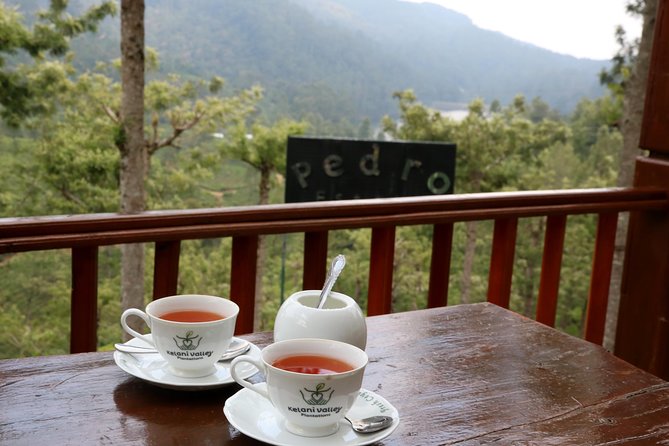 Kandy to Nuwara Eliya Day Trip – Little England & Tea Country - Bluefield Tea Gardens and the working tea-country visit