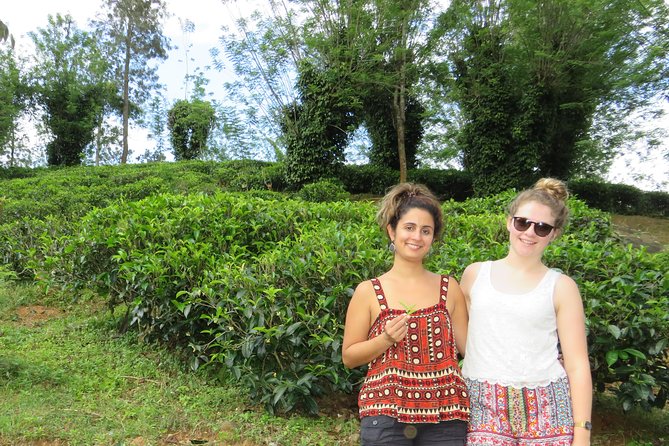 Kandy to Nuwara Eliya Day Trip – Little England & Tea Country - Victoria Park and the old racecourse