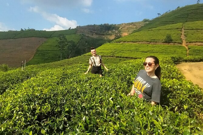 Kandy to Nuwara Eliya Private Day Tour: Tea Factory& Gregory Lake - Why this Kandy day trip works