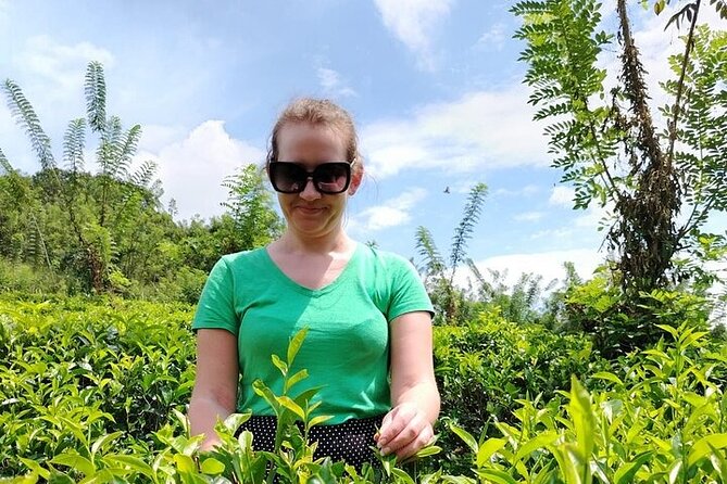 Kandy to Nuwara Eliya Private Day Tour: Tea Factory& Gregory Lake - Ramboda Waterfall, the first big view