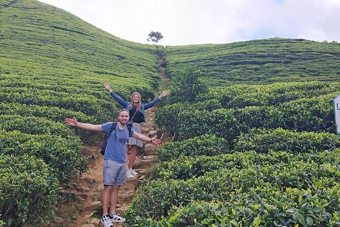 Kandy to Nuwara Eliya Private Day Tour: Tea Factory& Gregory Lake - The driver can shape the whole day