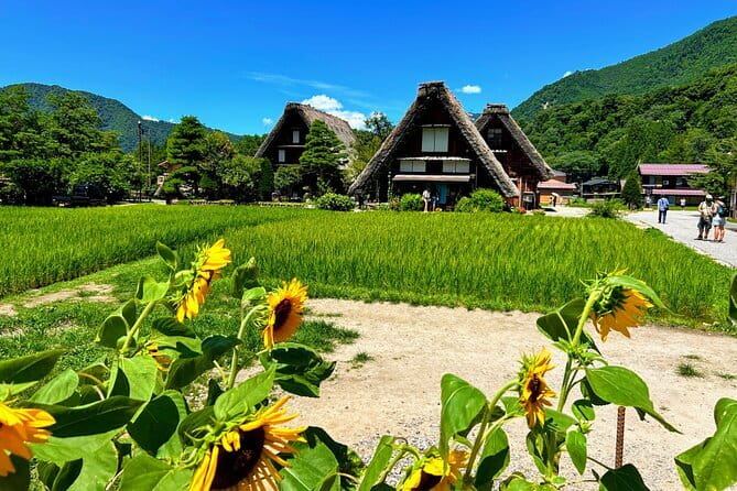 Kenrokuen Tea Ceremony Experience in Kanazawa - Who will enjoy this tea ceremony most