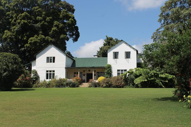 Kiambethu Tea Farm Tour & Lunch From Nairobi - Tea, Biscuits, and the Main House Welcome