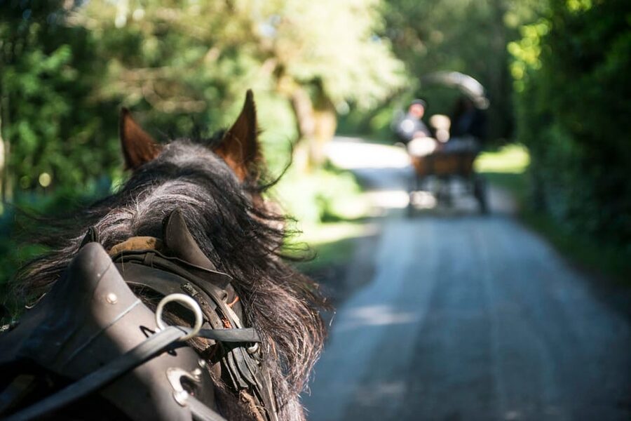 Killarney: Jaunting Car Tour with Afternoon Tea - Starting beside Killarney Railway Station