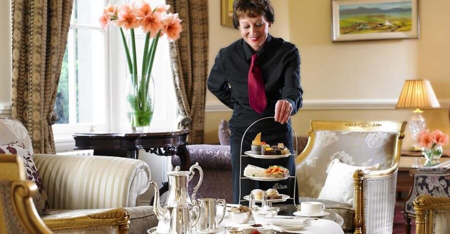 Killarney: Jaunting Car Tour with Afternoon Tea - MacGillycuddy Reeks and the park’s woodland