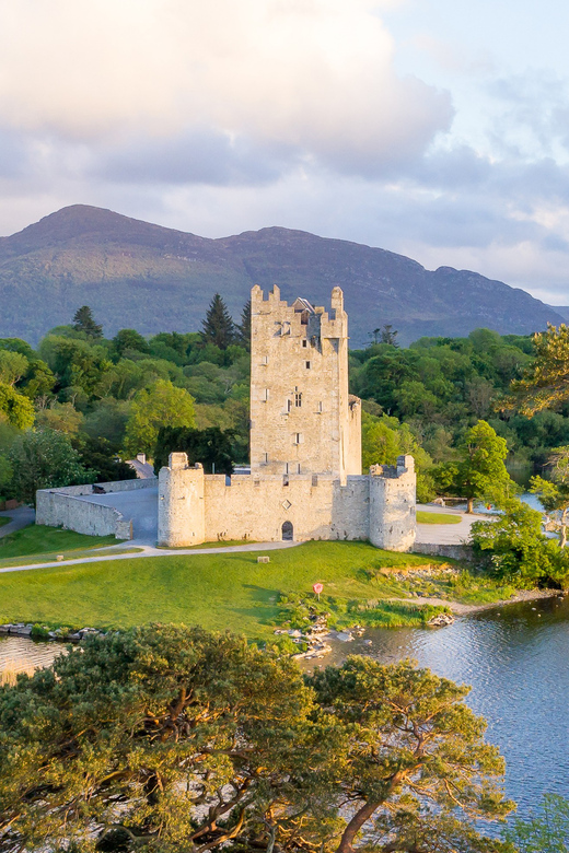 Killarney: Jaunting Car Tour with Afternoon Tea - Guides, horses, and the character of the ride