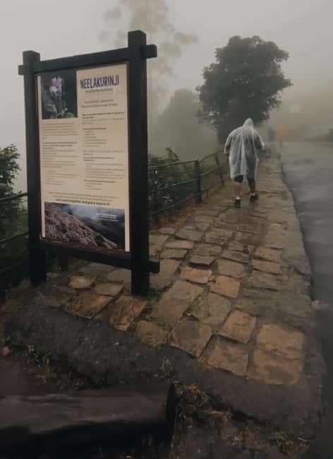 Kochi to Munnar: Eravikulam, lockhart & Waterfalls day tour - The early road to Eravikulam National Park