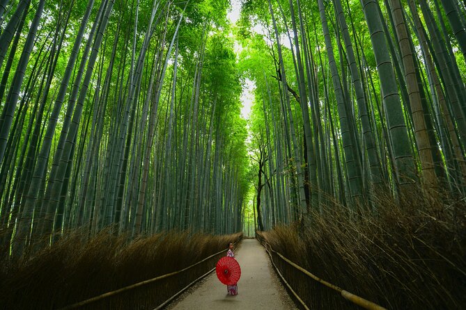 Kyoto: Arashiyama Bamboo, Temple, Matcha, Monkeys & secret spots - Arashiyama shopping street and local help