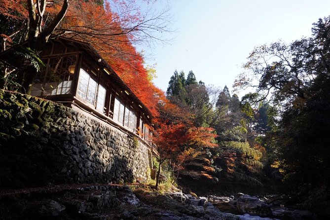 Kyoto Hidden Riverside Zen Mediation and Uji Matcha Experience - Is $105 a fair price for two hours?