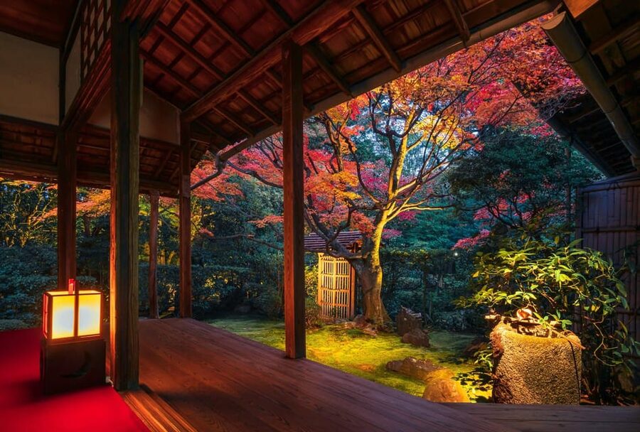 Kyoto: Nighttime Zen Meditation and Matcha Tea Experience - Key points to know before booking