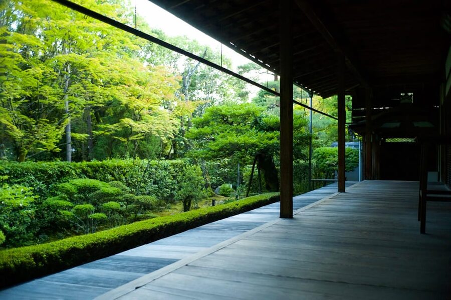 Kyoto: Nighttime Zen Meditation and Matcha Tea Experience - The Sehakuan tea room and Kano Sansetsu’s paintings