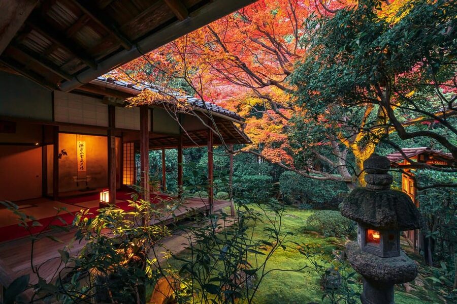 Kyoto: Nighttime Zen Meditation and Matcha Tea Experience - Four illuminated gardens with a slower pace