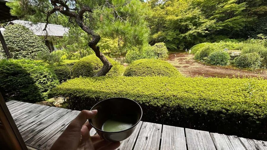 Kyoto: Shakyo & Matcha in Historic Temple Garden - Entering Sennyu-ji and learning its place in Kyoto