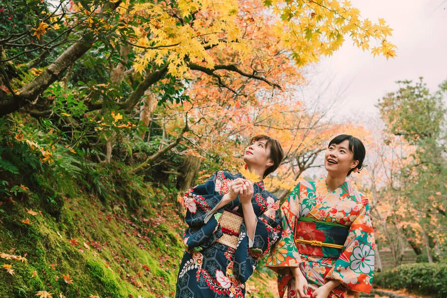 Kyoto: Tea Ceremony in 100-year-old Kyo-Machiya Townhouse - Tips for getting the most from the session