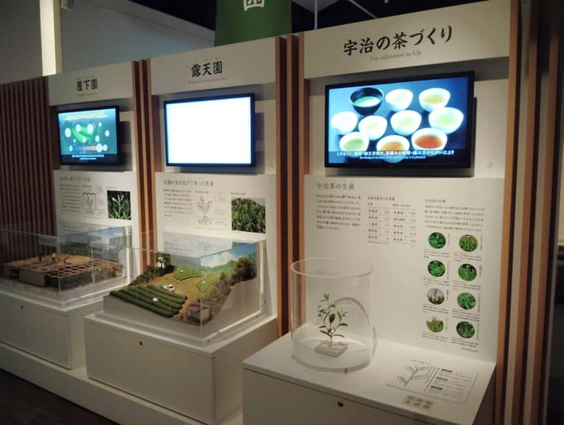 Kyoto: Tea Museum and Tsuen Teahouse Guided Tour - What the tea and sweets add
