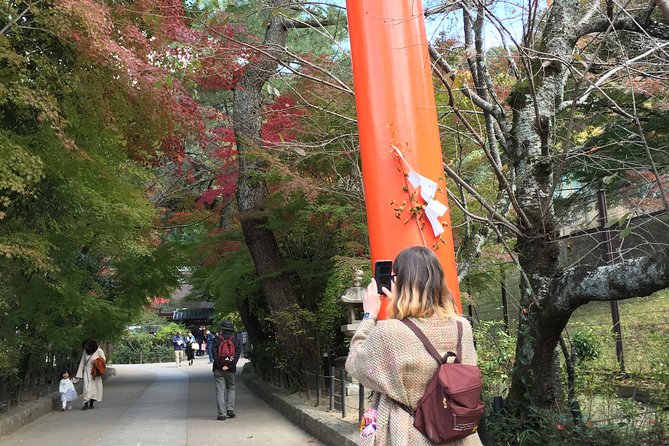 Kyoto tea town for matcha lovers - Why Uji is the right place for a matcha tour