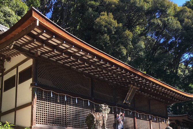 Kyoto tea town for matcha lovers - From tea fields to the making of matcha