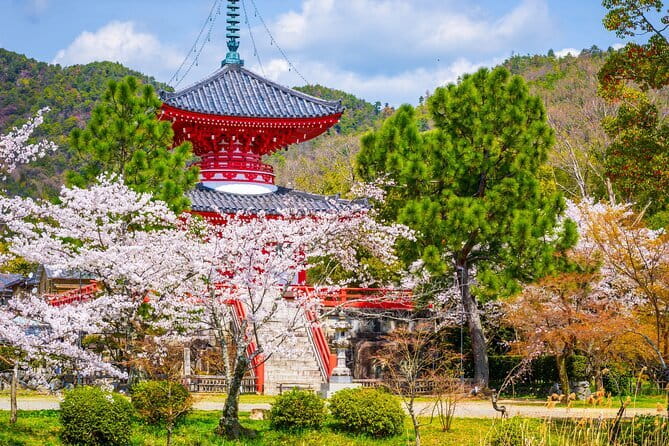 Kyoto WAKIMIZU Half Day Tour: Secrets of Matcha & Wagashi Sweets - What the $80 price really covers
