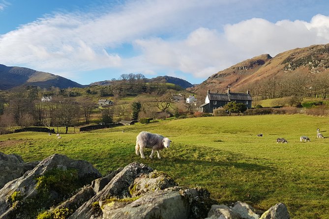 Lake District from Manchester Including Lake Cruise - Tarn Hows is short, scenic, and tightly timed